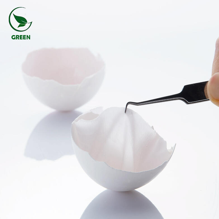 High Activity Food Grade Eggshell Membrane Peptide Powder 90% Health Food Raw Material From GREEN 24 Months Shelf Life OEM