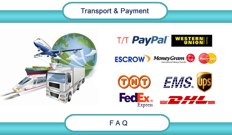 Testing Process