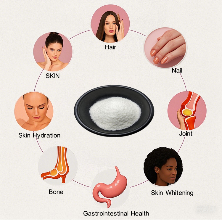 Collagen lab testing