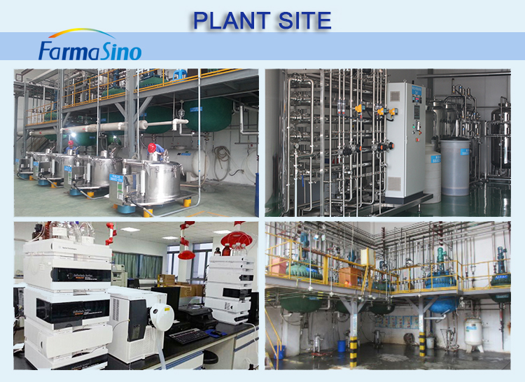 Company Facility 3