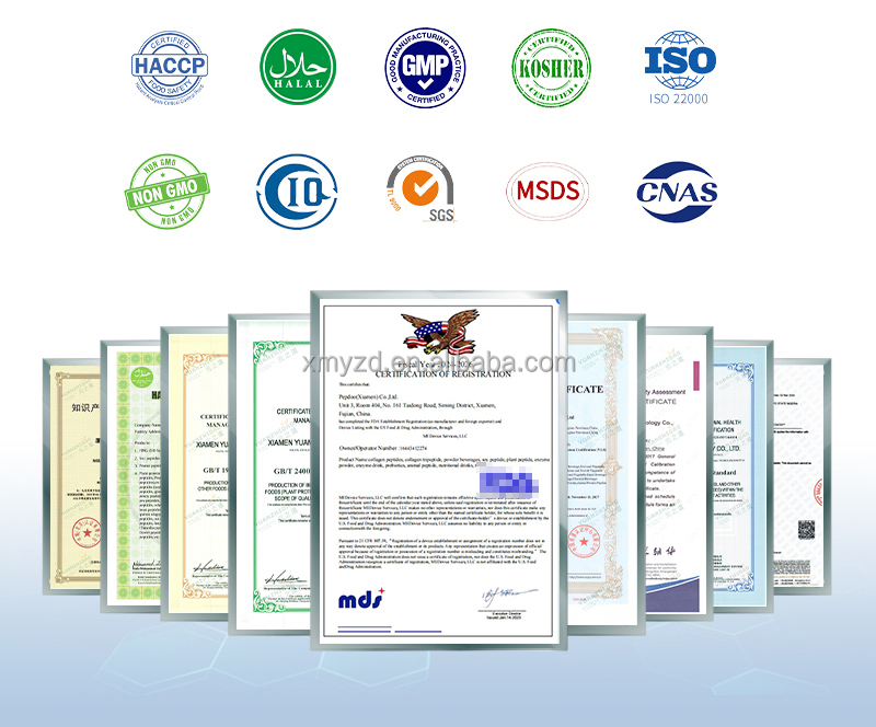 Halal Nano Peptide Hydrolyzed Oyster Extract Protein Peptide 100% Water Soluble oyster Peptide Ingredients Powder