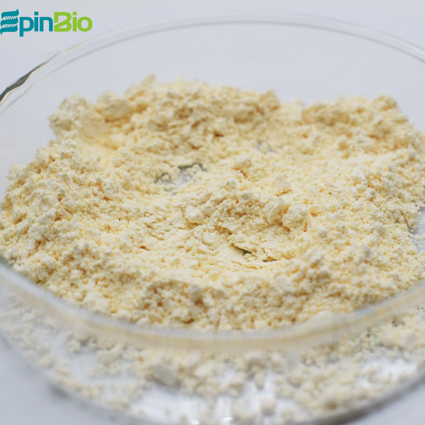 Food Grade Natamycin 95% Preservative HALAL &amp; KOSHER Certified 24 Months Shelf Life