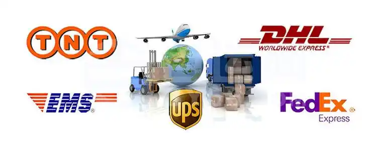 Packing & Delivery