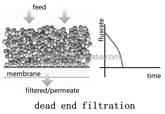 Fermentation Broth Clarification Beer Brewery Crossflow Filtration 200nm Pore Size Ceramic Membrane Filter for Microfiltration