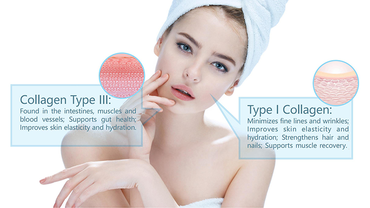 Custom Ingredients Marine Fish Pure Multi Skin Care Whitening Drink Protein Hydrolized Collagen Peptides Type 1 2 3 Powder