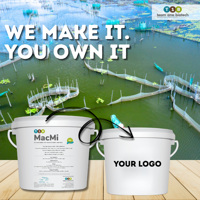 Fermentation Derived Marine Aquaculture Additive