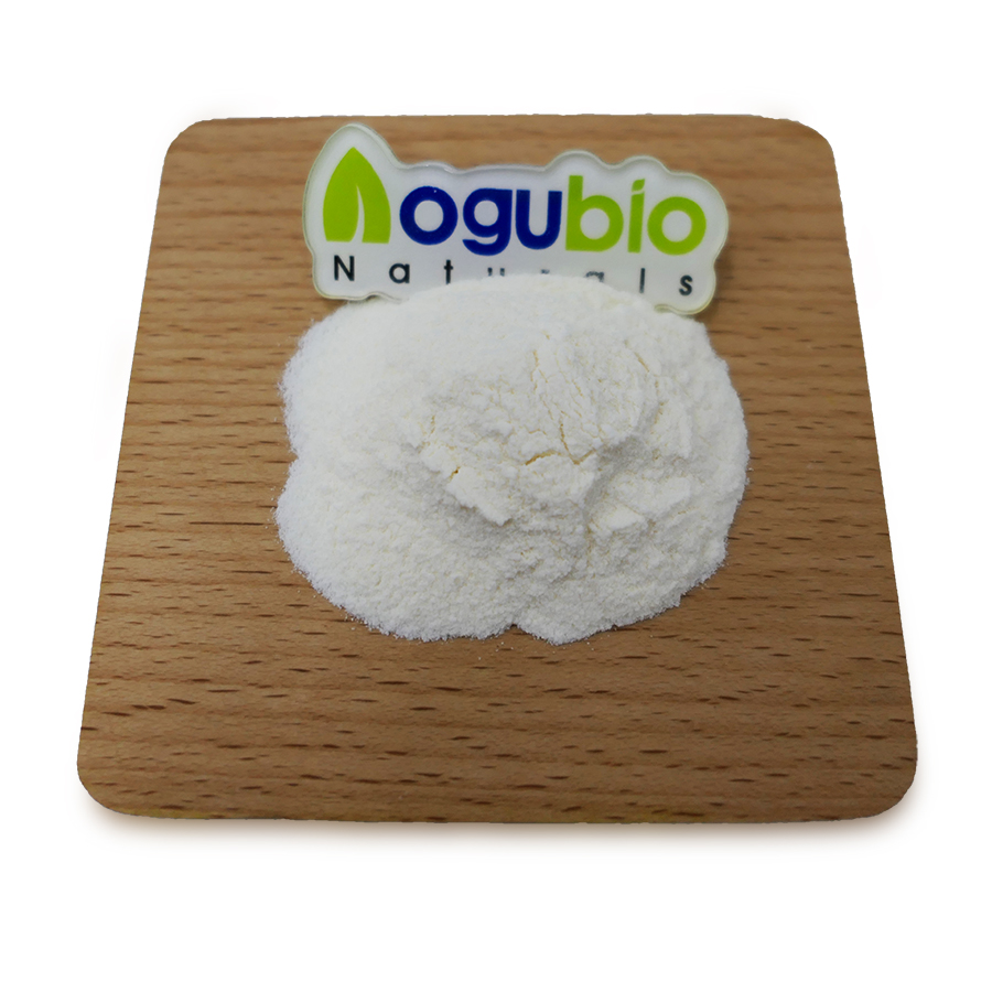 Food Ingredients Lactobacillus Fermentum Freeze-dried Probiotics Powder 10 Billion Lactobacillus Fermentum Powder