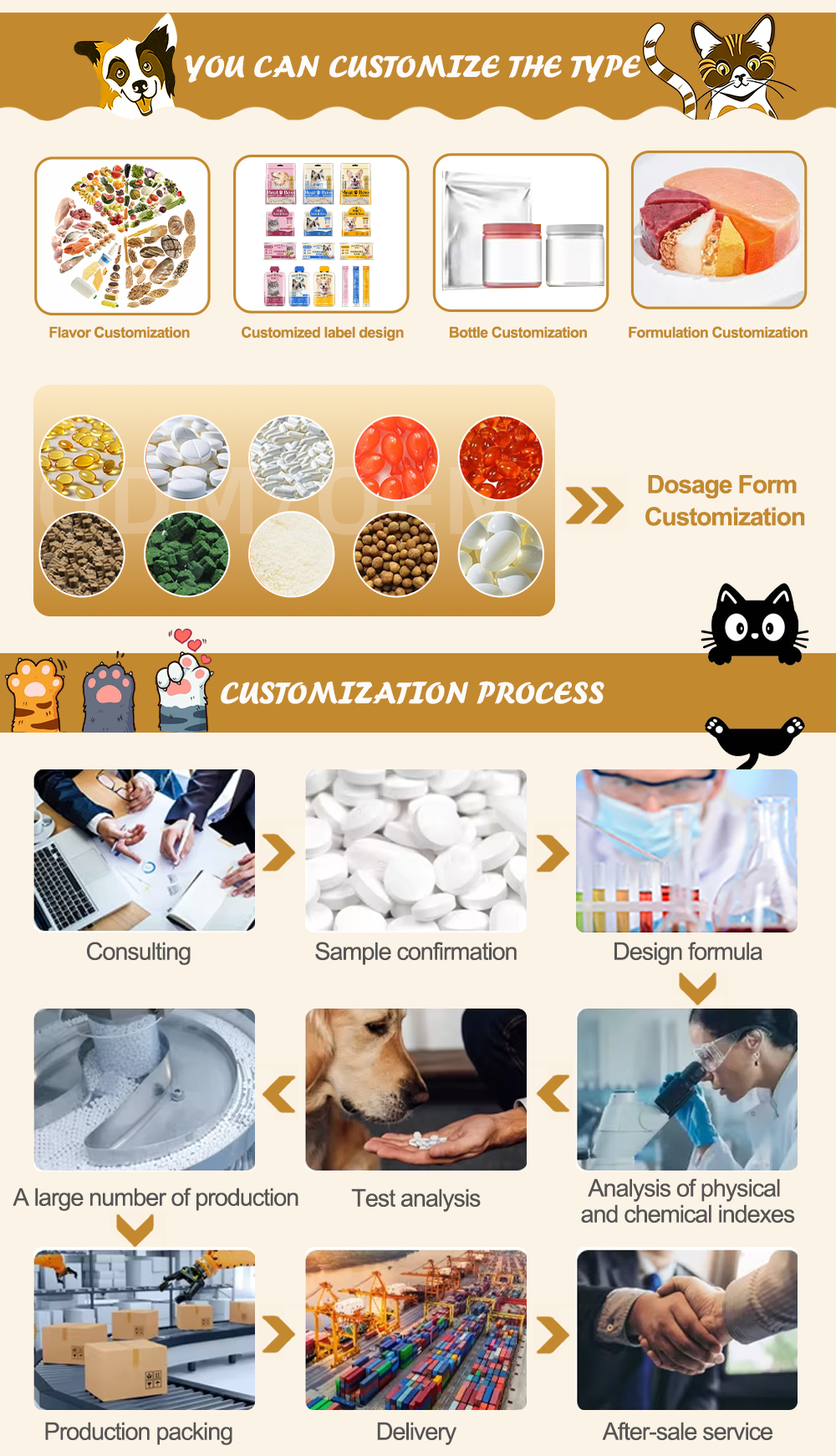 Gastrointestinal care cat food feature image 2
