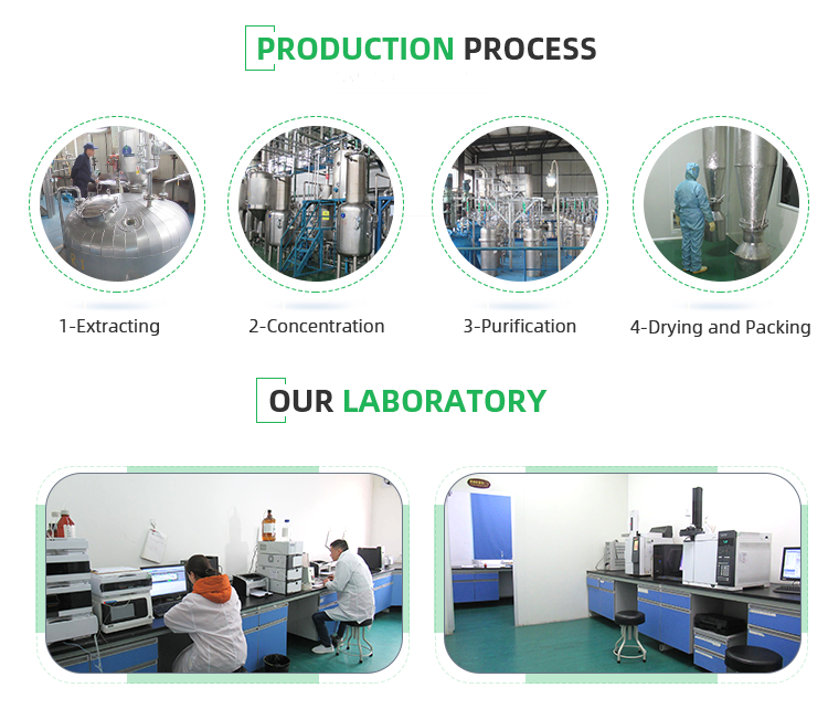 Testing Equipment