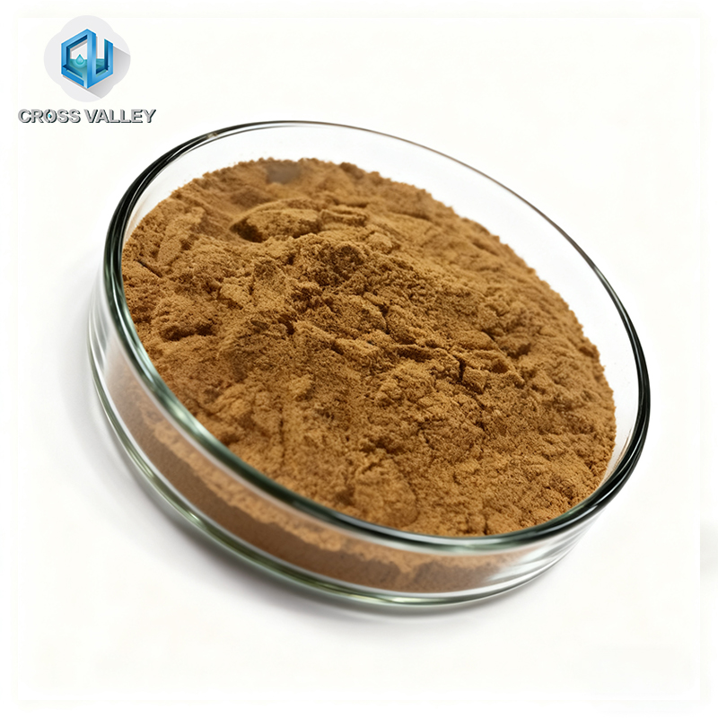 THUJA ORIENTALIS LEAF EXTRACT Premium Daily Chemicals for Hair Care for Shampoo Ingredients