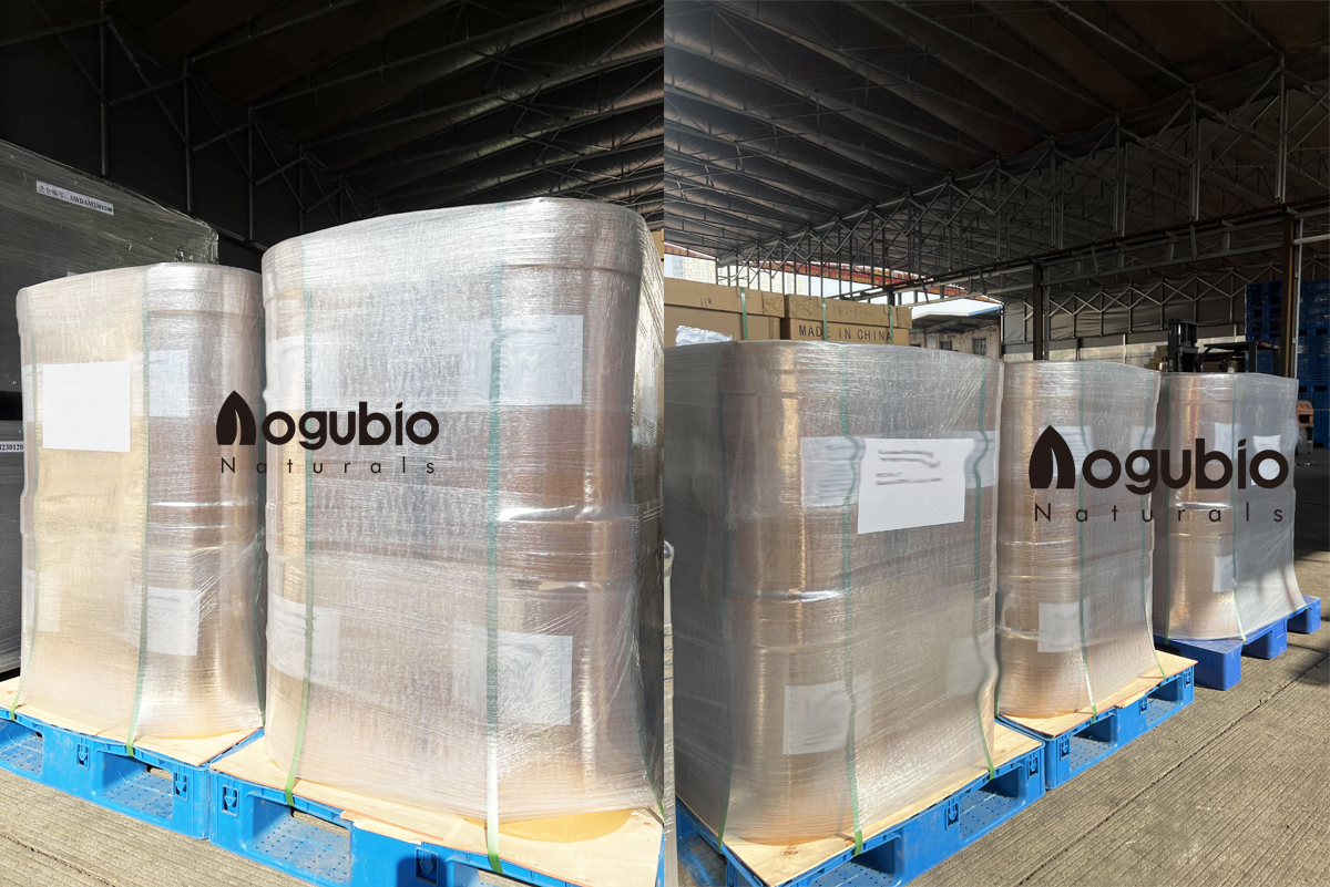 Food Ingredients Lactobacillus Fermentum Freeze-dried Probiotics Powder 10 Billion Lactobacillus Fermentum Powder