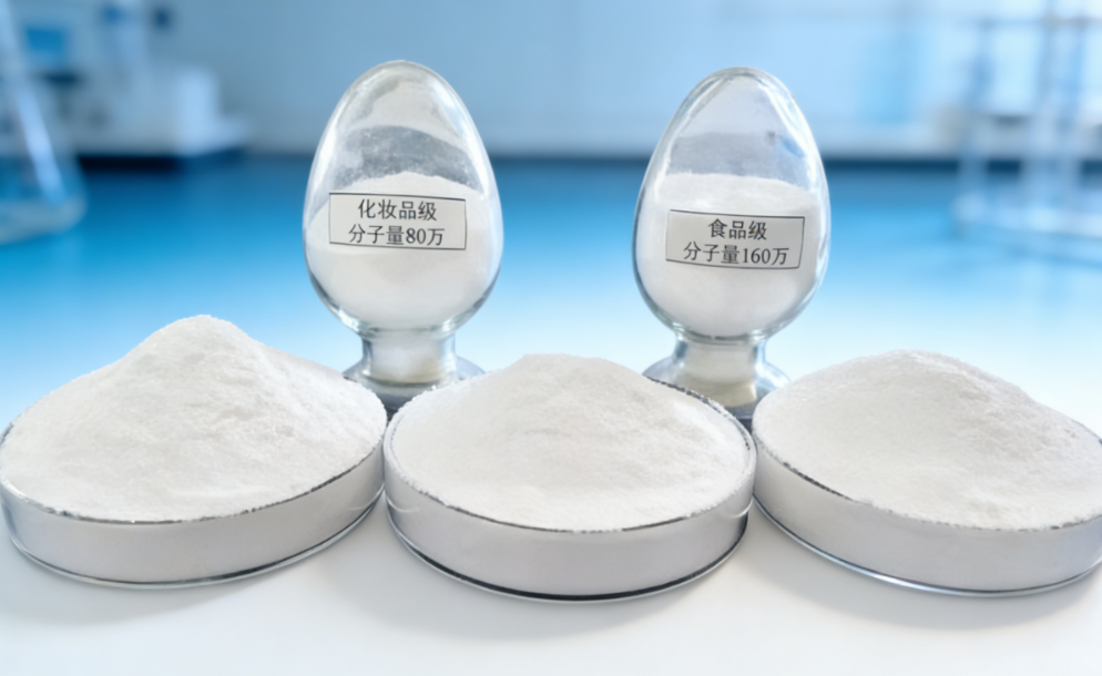 Non-animal-derived Fermented Production of Cosmetic-grade Sodium Hyaluronate and Hyaluronic Acid Raw Material Powder