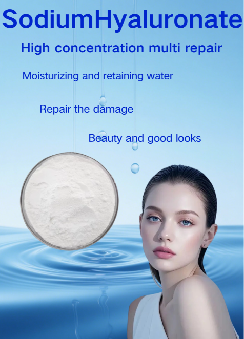 Sodium Hyaluronate Hyaluronic Acid Food-grade Powder of High Purity, Derived From Fermentation, and Certified Halal.