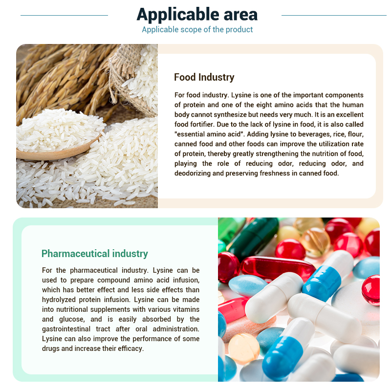 Hibong Hot Selling Food Grade Preservative Factory Supply From Manufacturer High Quality L-Lysine