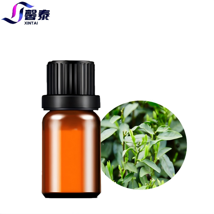 Factory Wholesale High Quality Tea Tree Essential Oil For Skin Care &amp; Aromatherapy OEM