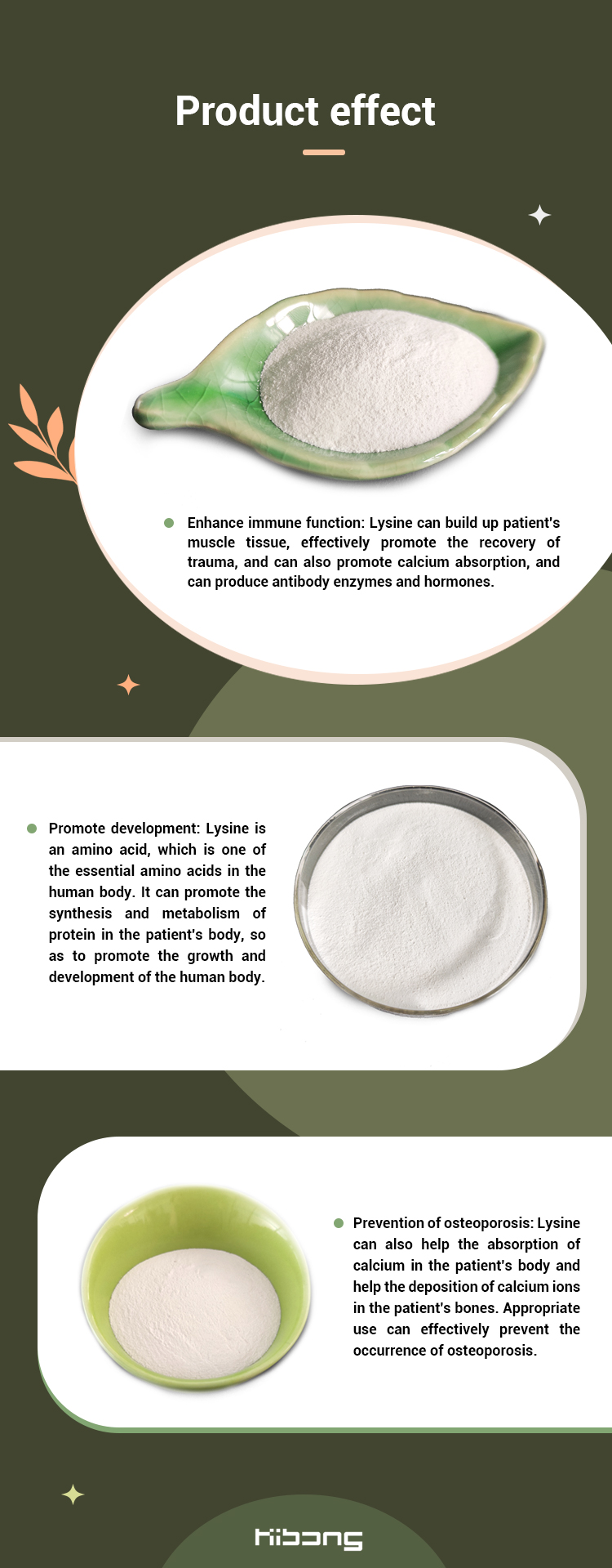 L-lysine Product Image 2