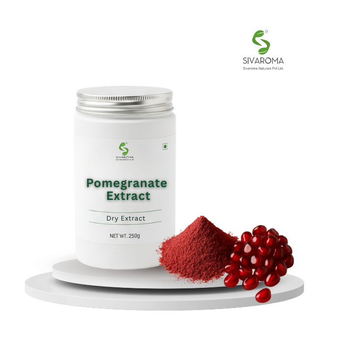 Pomegranate Fruit Extract Bulk Ingredient for Functional Food, Skincare and Wellness Industry Manufacturing Needs