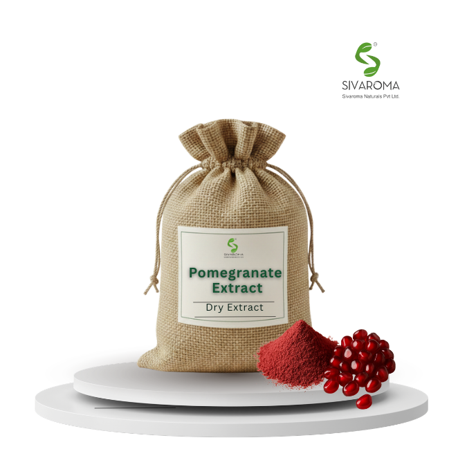 Pomegranate Fruit Extract Bulk Ingredient for Functional Food, Skincare and Wellness Industry Manufacturing Needs