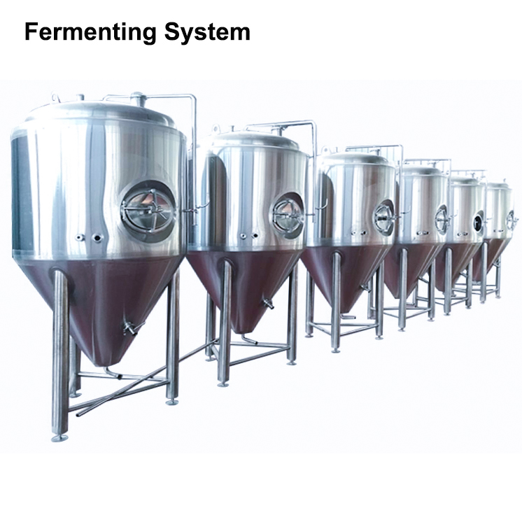 Fermentation System component 1