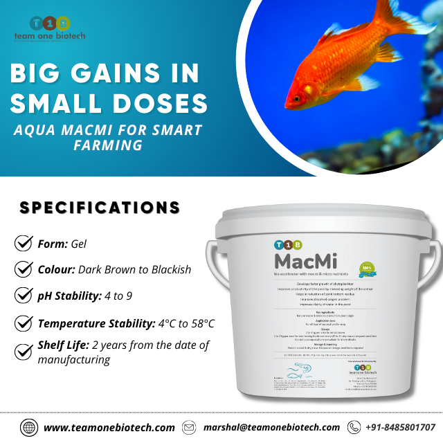 Fermentation Derived Marine Aquaculture Additive