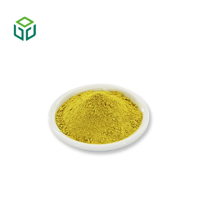 Premium Fisetin Extract CAS 528-48-3 Botanical Antioxidant for Supplements &amp; Cosmetics Supply Private Label