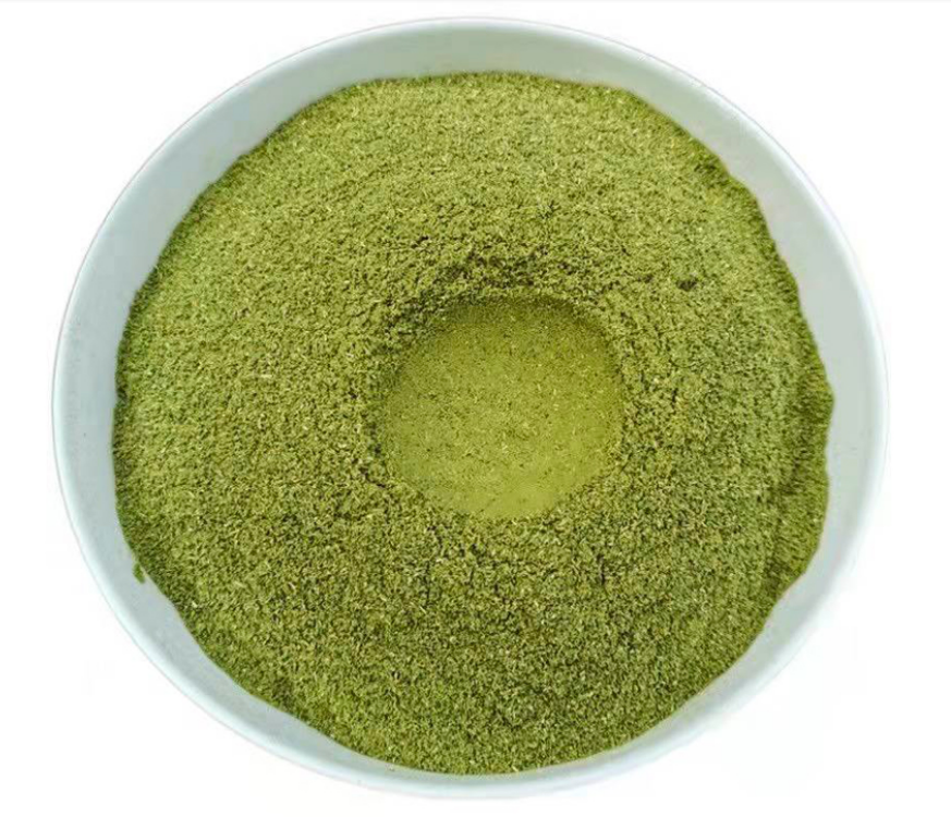 For Hair Growth Ingredients Pure Platycladus Orientalis Leaf Powder