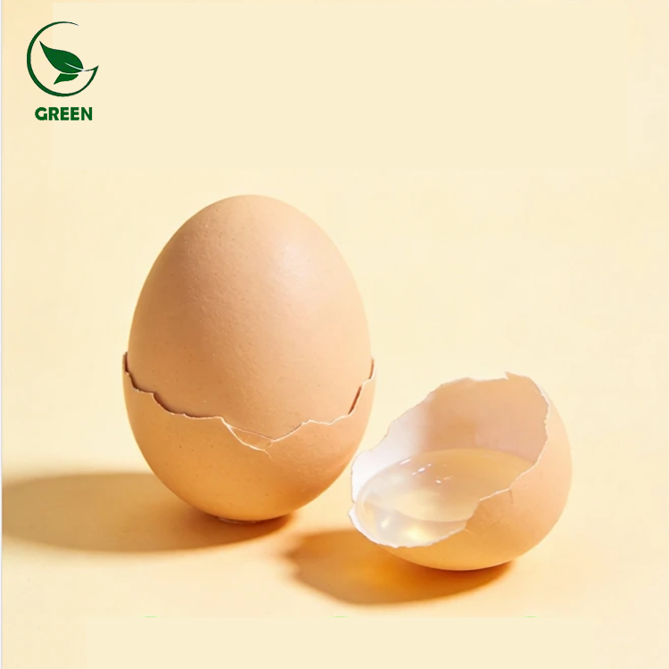 High Activity Food Grade Eggshell Membrane Peptide Powder 90% Health Food Raw Material From GREEN 24 Months Shelf Life OEM