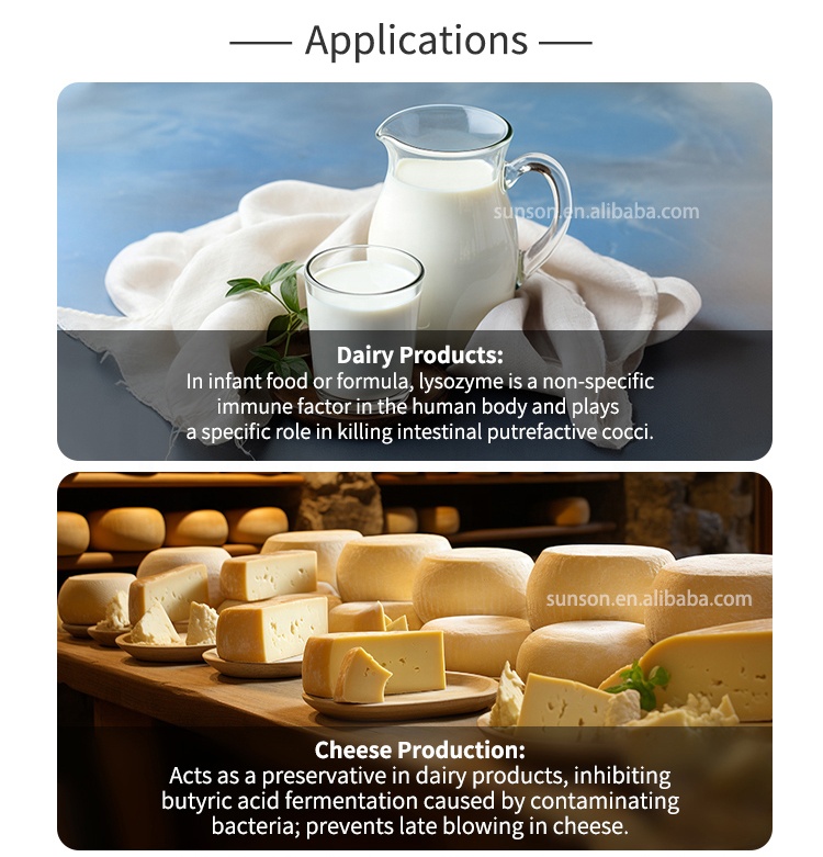 Food Grade Lysozyme Enzyme Powder &ge;2000U/mg | Broad Spectrum Antimicrobial Enzyme For Food Preservative