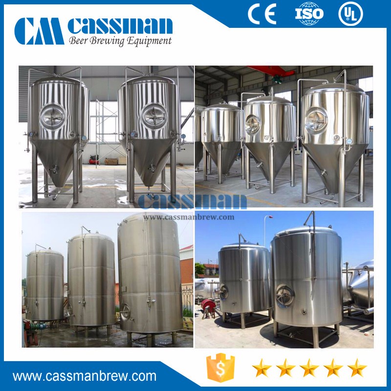 30L 50L 100L Fermentation Unitank Home Brewing Micro Beer Fermenter