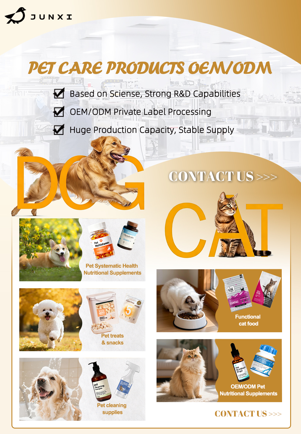 Gastrointestinal care cat food feature image 1
