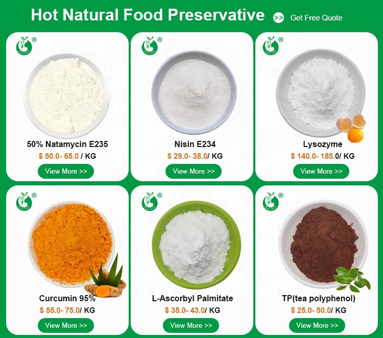 Pincredit Wholesale Price Bulk Food Preservative Natamycin 95% in Lactose E235 Natamycin Powder