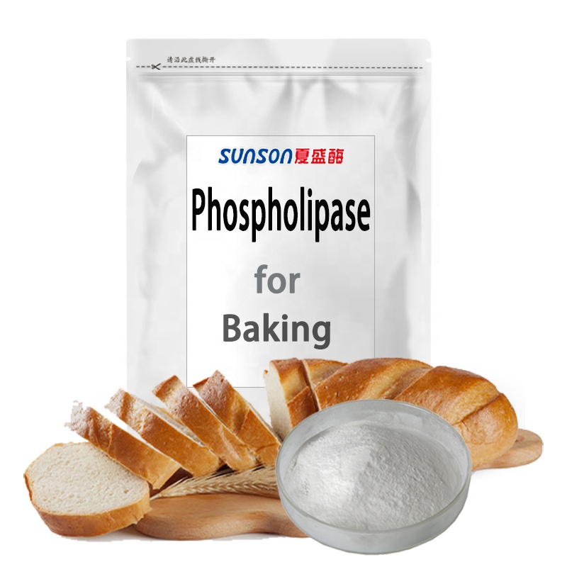 Lipase