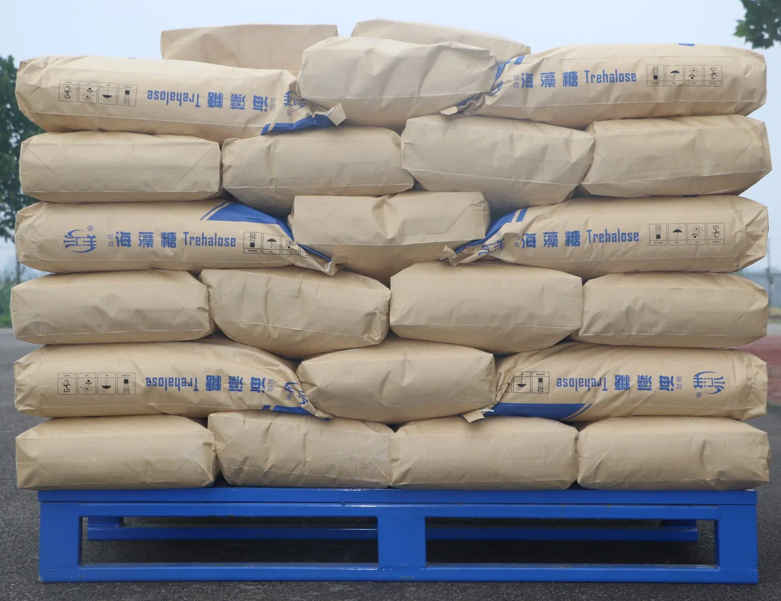 Factory Direct Supply Trehalose Powder Food Ingredient