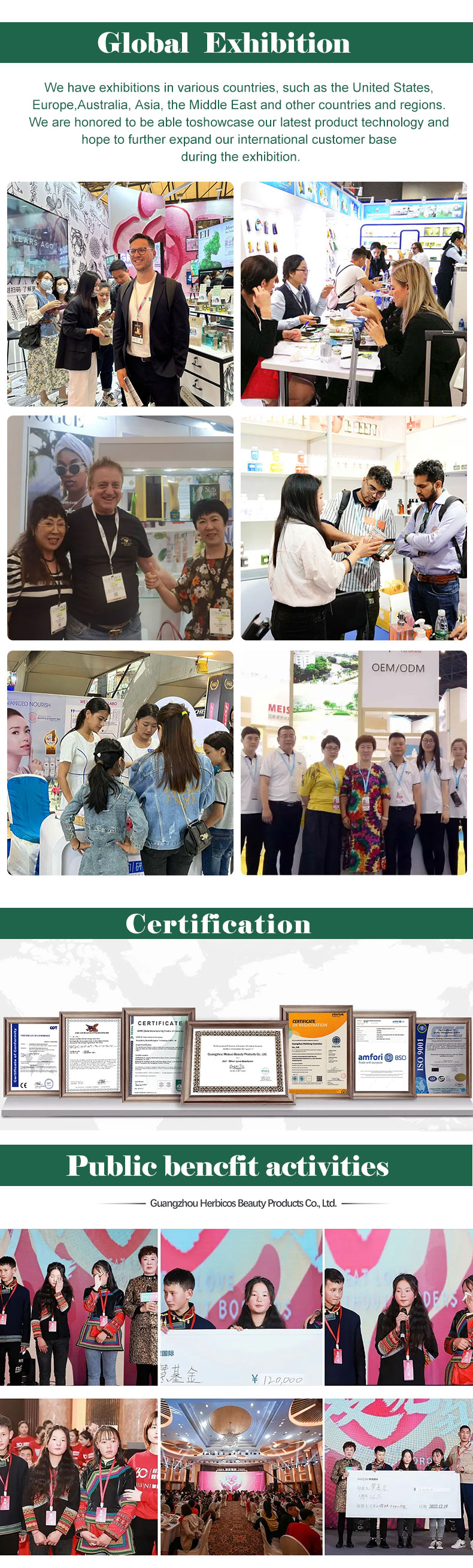 Company Profile 4