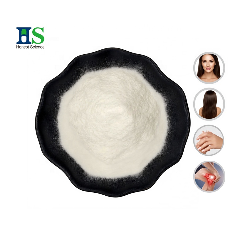 Multi Collagen Peptides Powder for Dietary Supplements Ingredients | Manufacturer Supply Bulk