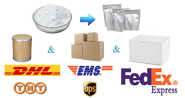 Packaging Standard Options