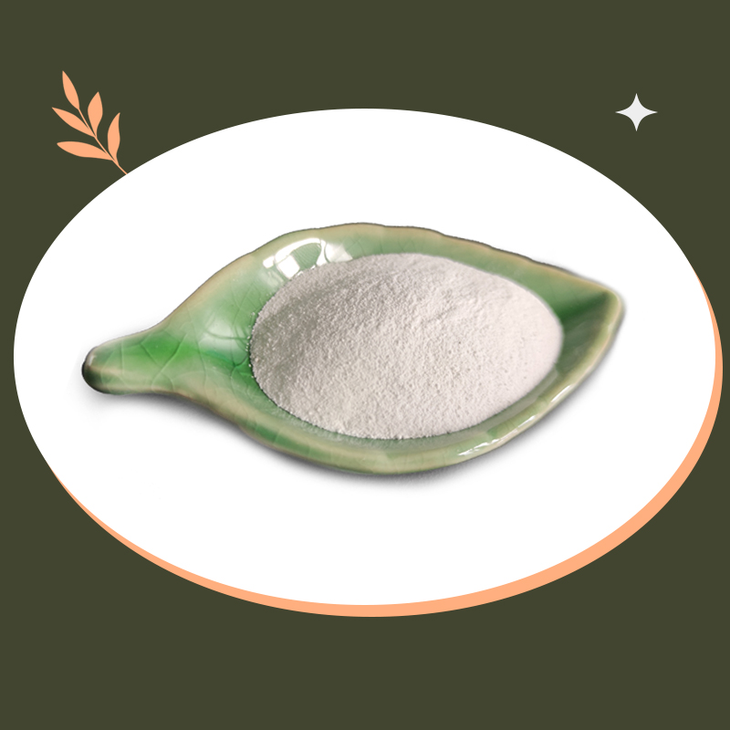 Hibong Hot Selling Food Grade Preservative Factory Supply From Manufacturer High Quality L-Lysine