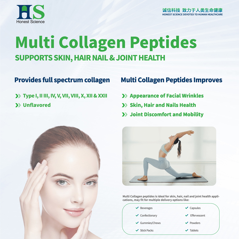 Multi Collagen Peptides Powder for Dietary Supplements Ingredients | Manufacturer Supply Bulk