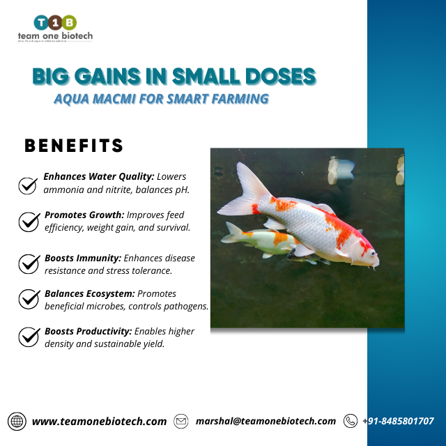 Fermentation Derived Marine Aquaculture Additive