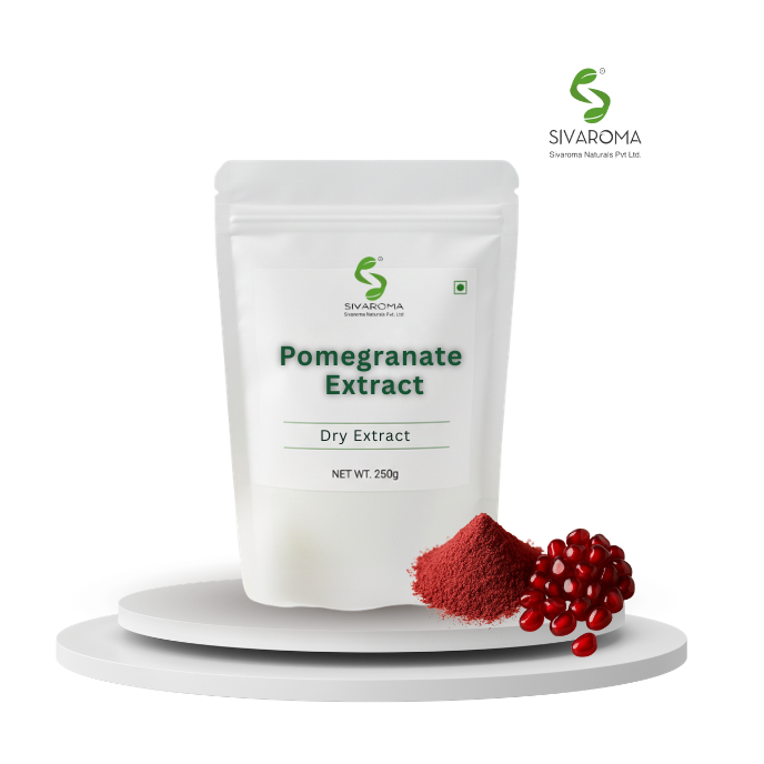 Pomegranate Fruit Extract Bulk Ingredient for Functional Food, Skincare and Wellness Industry Manufacturing Needs