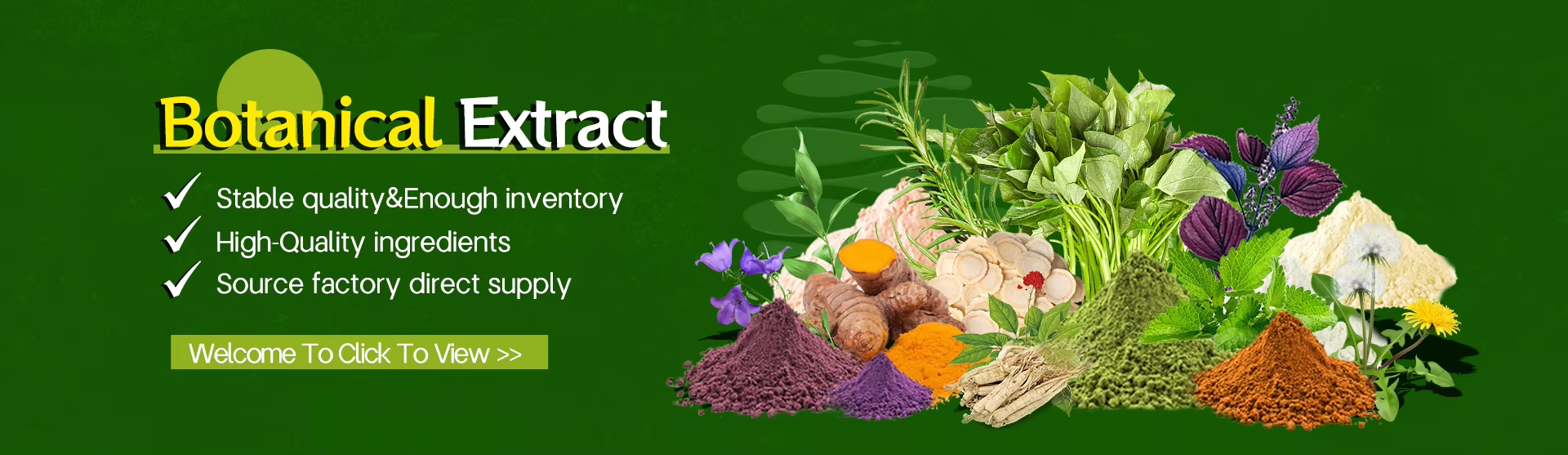 Phenoxyethanol Preservative