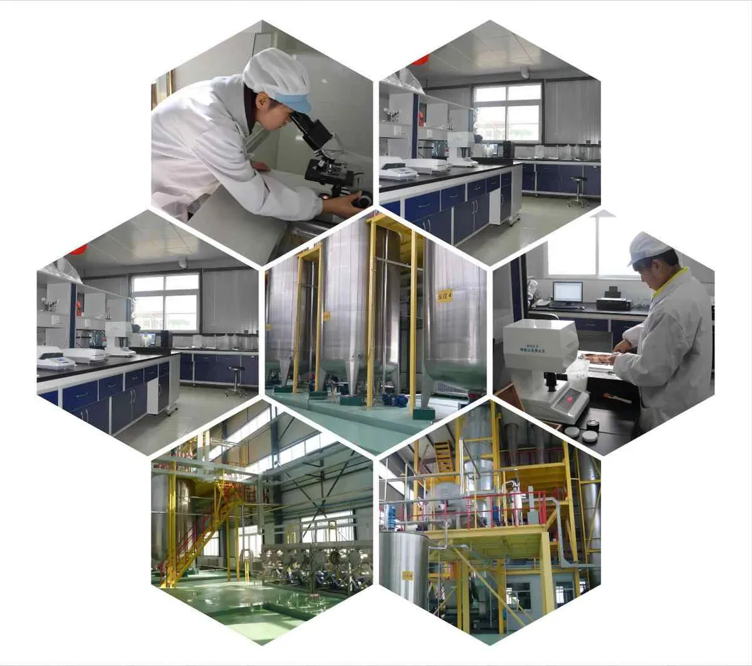 Ectoine Powder Applications