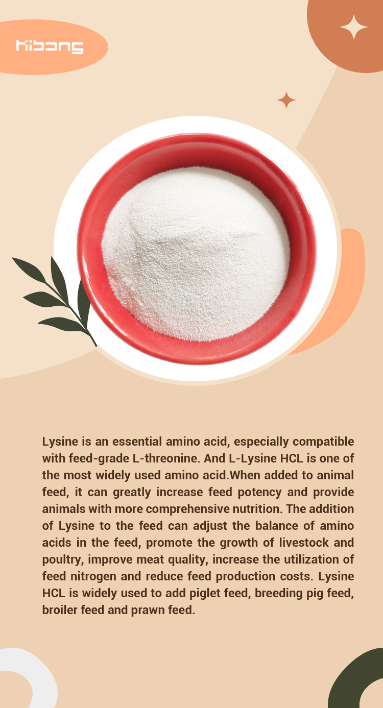 L-lysine Product Image 1