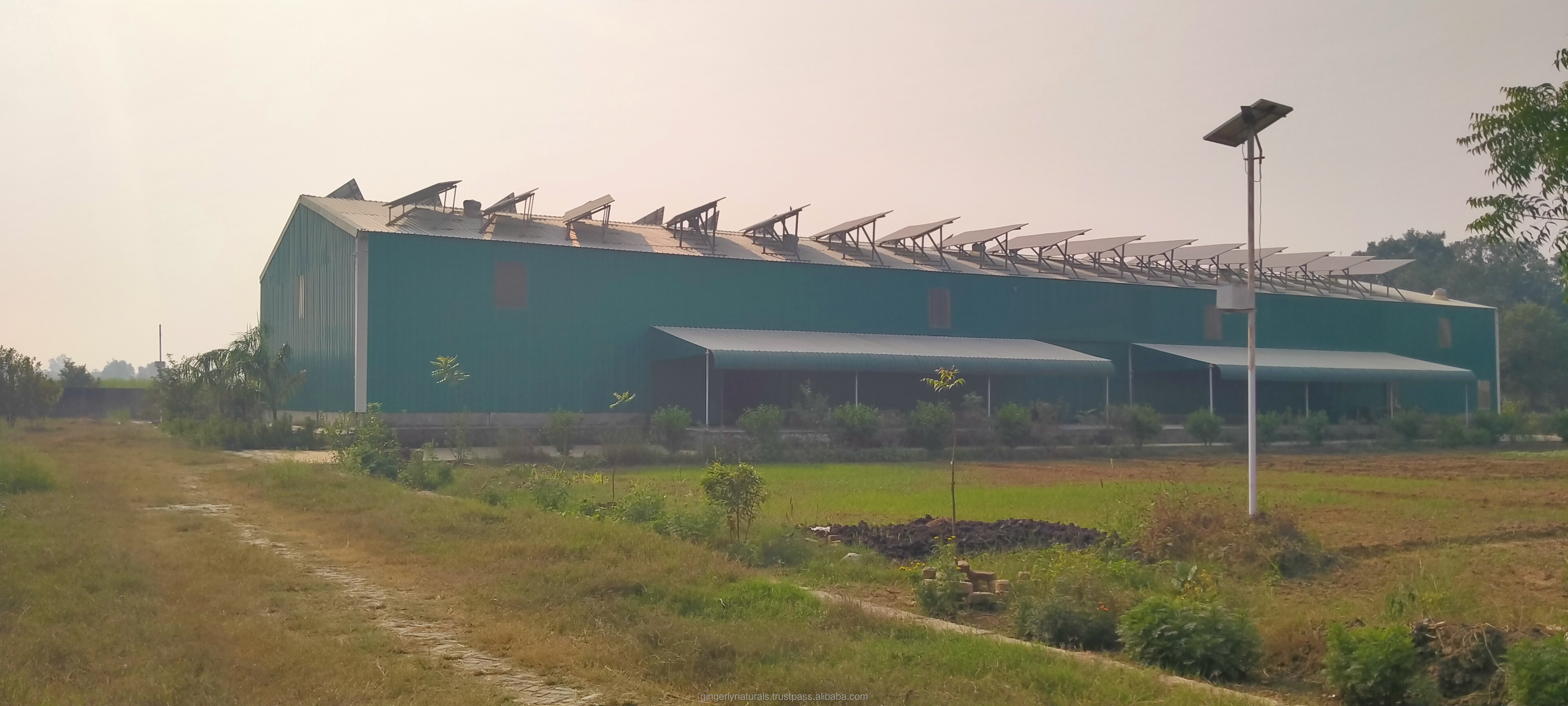 Company Infrastructure Image
