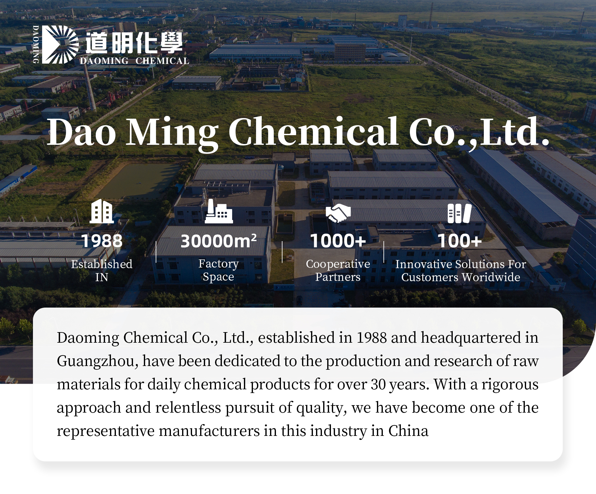 Company Profile View