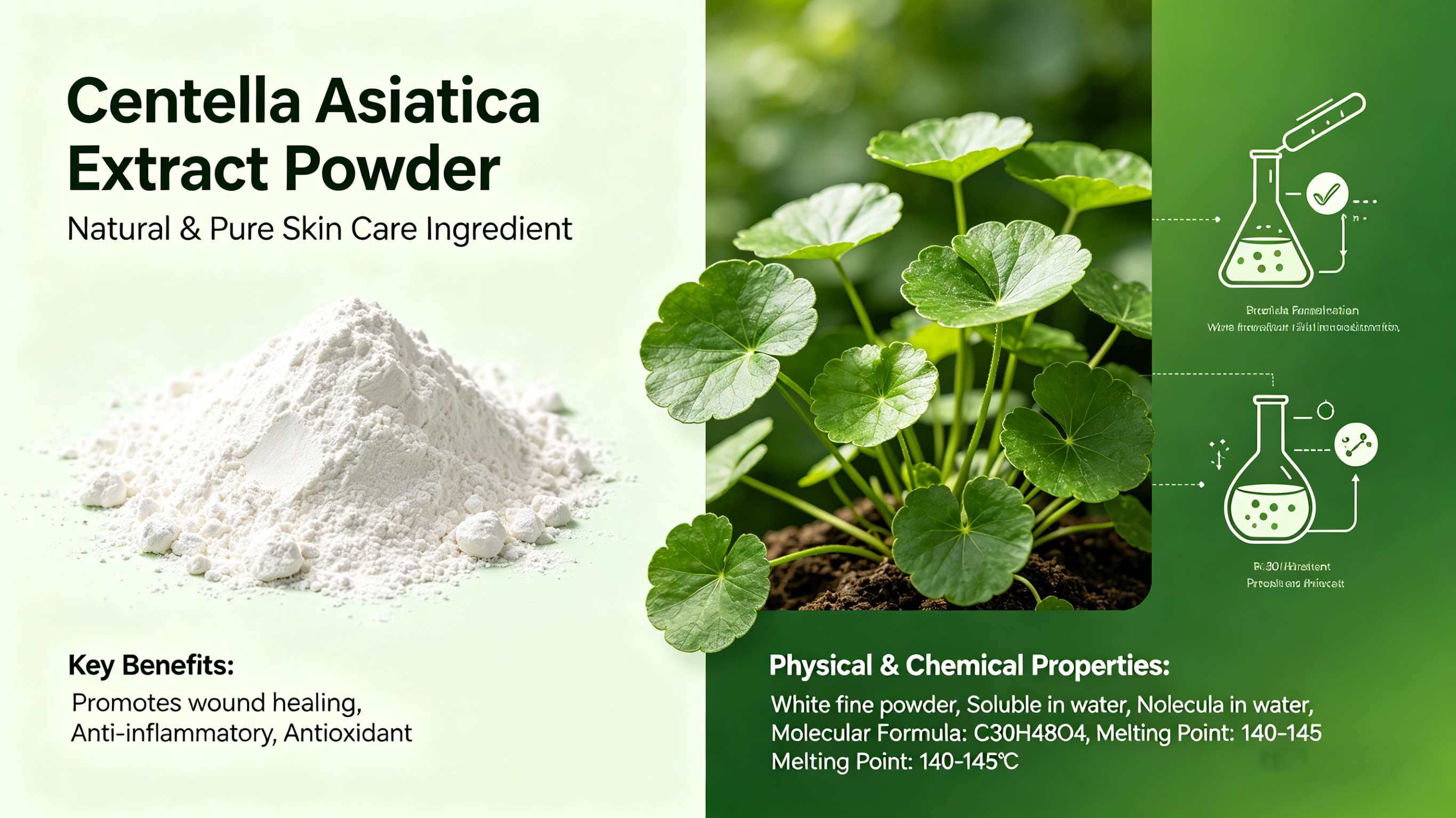 What's Centella Asiatica Extract Powder?