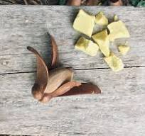 Natural Shorea Stenoptera Seed Butter for Moisturizing and Nourishing Skincare Formulations (CAS 91770-65-9)