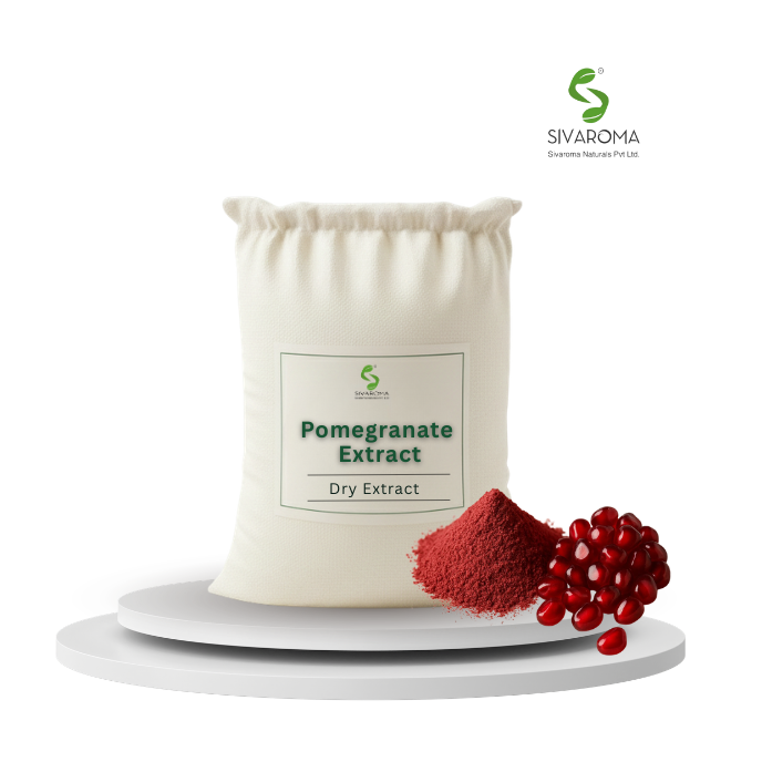 Pomegranate Fruit Extract Bulk Ingredient for Functional Food, Skincare and Wellness Industry Manufacturing Needs