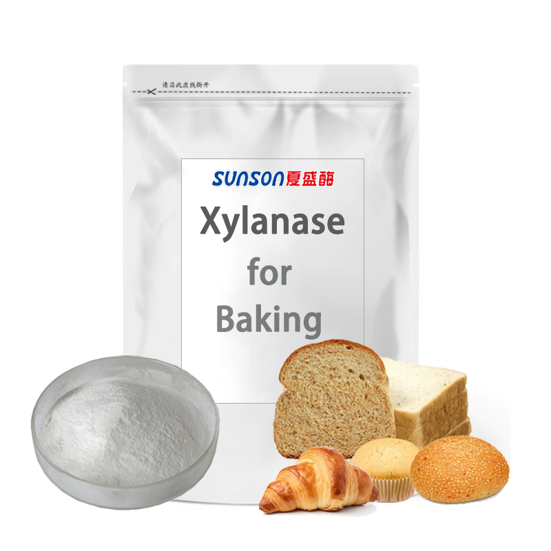 Xylanase