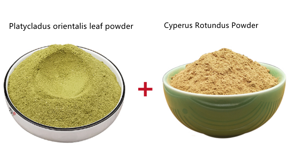 For Hair Growth Ingredients Pure Platycladus Orientalis Leaf Powder